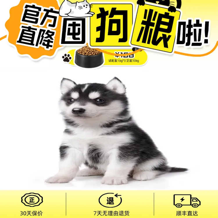 狗粮幼犬大袋狗粮宠物食品