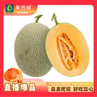 新疆25号小蜜-(约3斤-4斤)