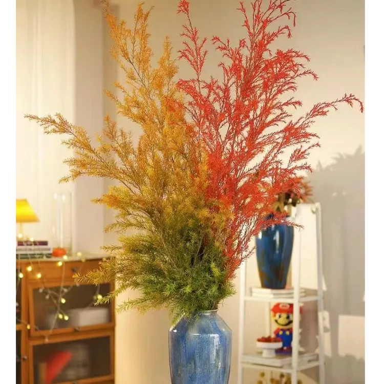 【落地款1m以上】千层金鲜花高颜值围2025懒人发财树（可做干花