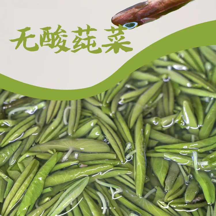 恩施特产正宗利川莼菜脐橙绿茶天然采摘入口天然美食春季凉拌菜