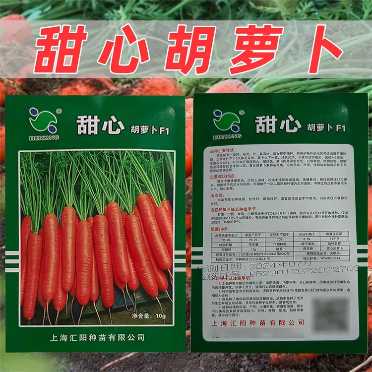 甜心胡萝卜种子喜温热适宜四季播种抗性好生长势强稳产胡萝卜种子
