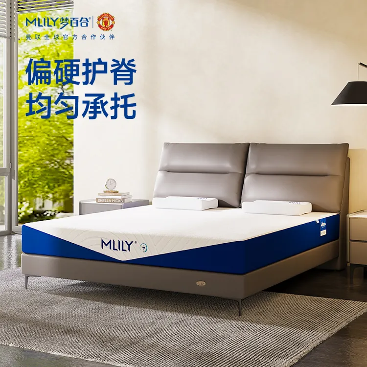梦百合【快充小蓝钻】记忆棉独立弹簧护脊床垫家用卧室席梦思Z商品图