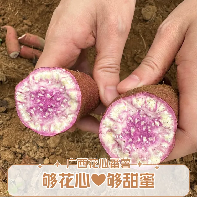 广西农家花心番薯黄心薯中度糖分 【阿月家自种番薯无激素农药】