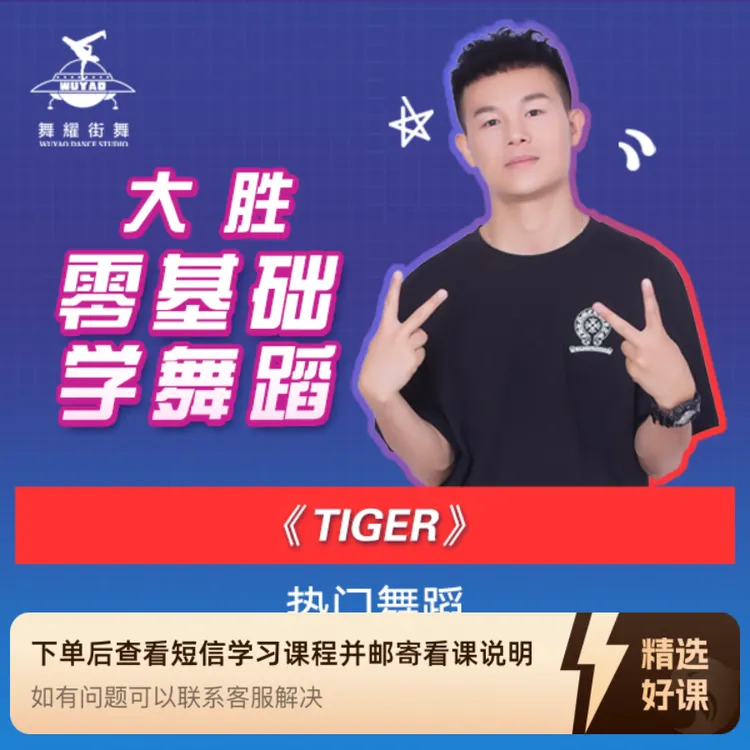 tiger大胜街舞零基础学舞蹈热门舞蹈动作分解教学