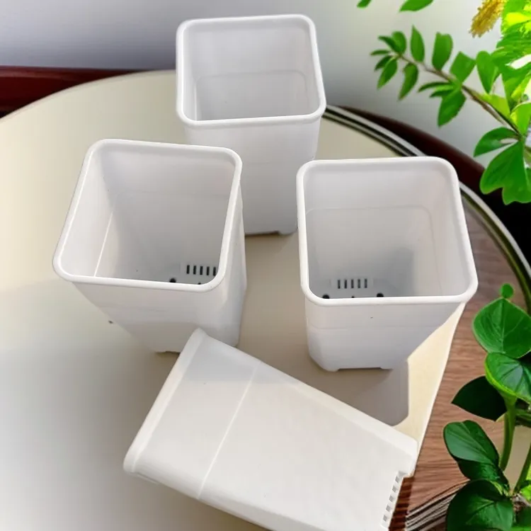 韩式高口6厘米白方盆10个磨砂透气塑料多肉花盆适用于玉露景天