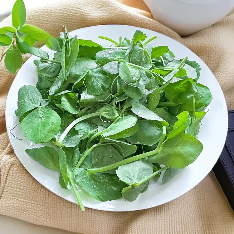 新鲜本地豌豆尖 火锅嫩尖应季时令豌豆苗现摘现发 多省包邮