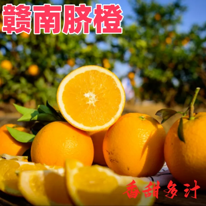 正宗赣南脐橙新鲜现摘现发产地应季水果香甜多汁橙子