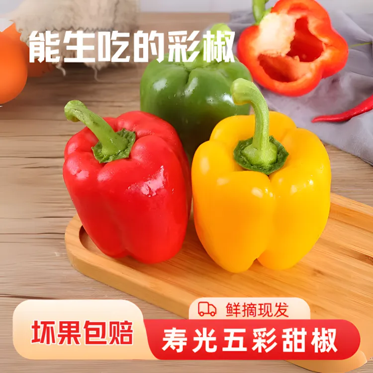 山东甜椒新鲜现摘水果彩椒五彩甜椒生吃不辣红黄灯笼椒