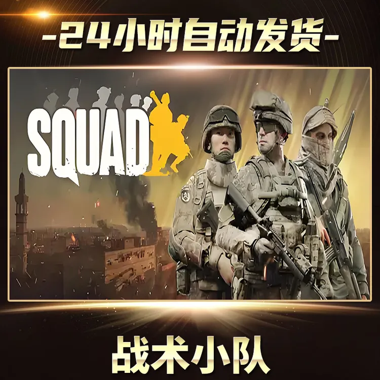 【STEAM游戏】战术小队激活码CDKey在线电脑游戏全dlc全区入库