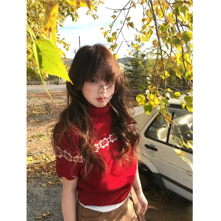 「叠穿主义」高领费尔岛针织衫女秋复古提花短袖毛衣Y1830