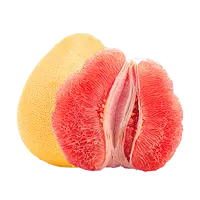 福建平和红心蜜柚/三红蜜柚 2粒/3粒单果1000g+ 多规格可选