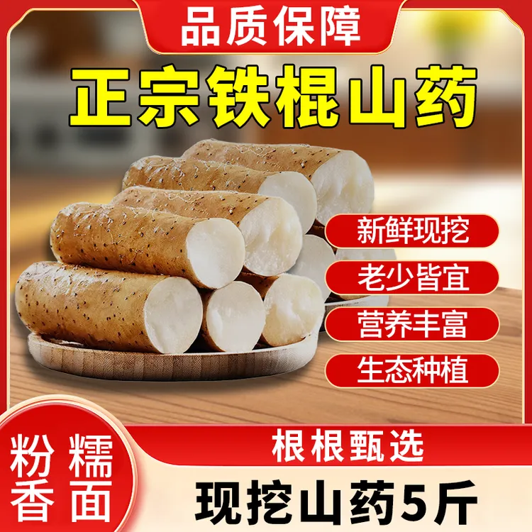 正宗焦作铁棍山药5斤源头当天现挖发货