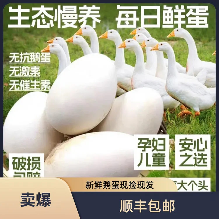 顺丰包邮农家散养新鲜土鹅蛋现捡现