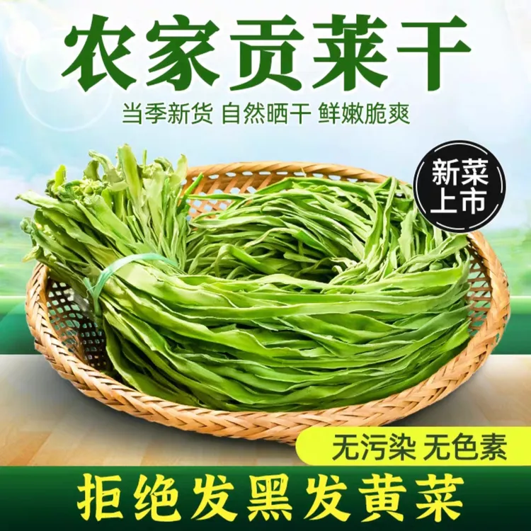 新鲜精品贡菜干火锅必备食材炒菜食材基地直发干贡菜