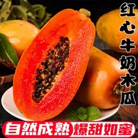 【部分需催熟】超甜正宗冰糖心牛奶红心木瓜新鲜孕妇应季水果广西