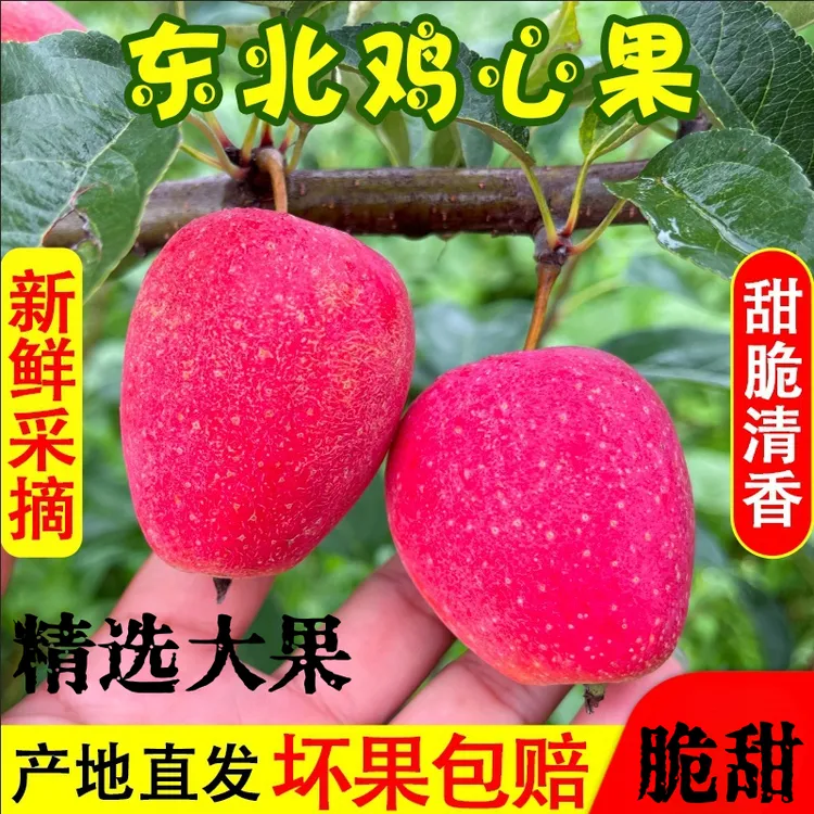 【精选大果】东北鸡心果香妃海棠新鲜酸甜脆爽当季水果
