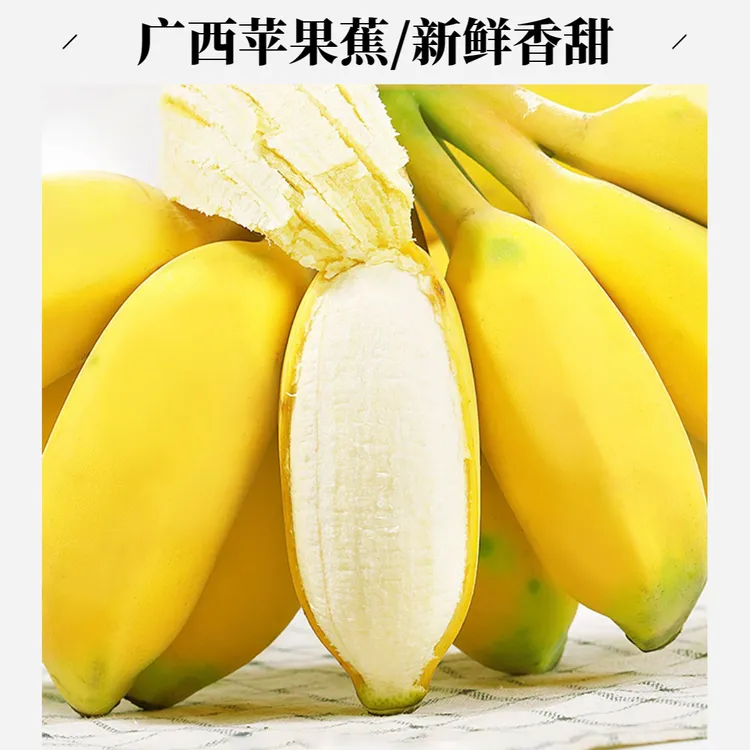 广西苹果蕉3斤/5斤大果新鲜香蕉粉蕉当季时令水果新鲜现摘发货