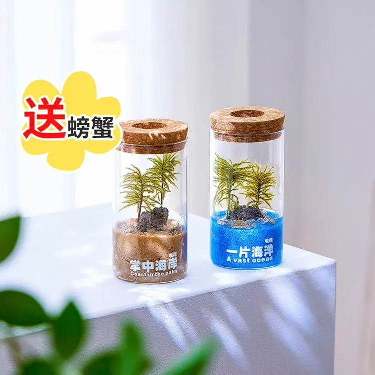 赠送3只辣椒蟹一片海洋微景观摆件桌面水培植物可养鱼小玩具送礼