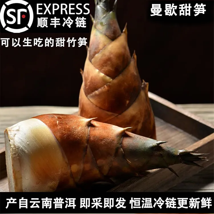 云南曼歇甜笋现摘现发普洱新鲜甜龙竹笋可生吃的甜笋涮火锅食材