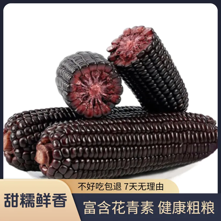 黑糯玉米富含花青素黑土地苞米真空颗粒200g起十根粗粮餐