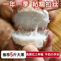 云南牛奶小芋头[新芋头]粉糯奶香甜味细腻嫩滑新鲜芋艿毛芋头仔