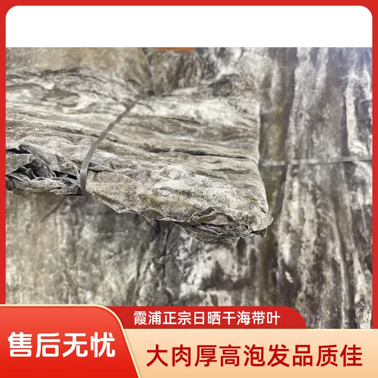 霞浦正宗日晒干海带福建叶大肉厚高泡发适合煲汤凉拌海带头排骨汤