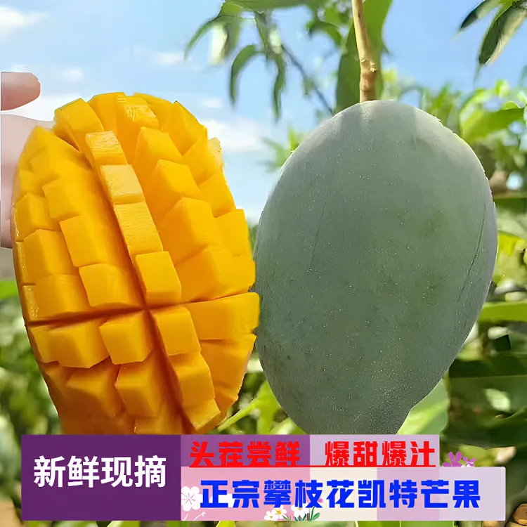 攀枝花凯特芒果头茬应季鲜果现採现摘香甜多汁新鲜水果放软即食