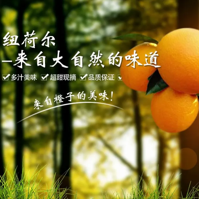 5斤/9斤正宗奉节纽荷尔脐橙新鲜橙子应季新鲜水果甜橙薄皮橙汁