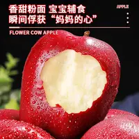 甘肃天水花牛苹果新鲜脆甜粉面两吃当季水果