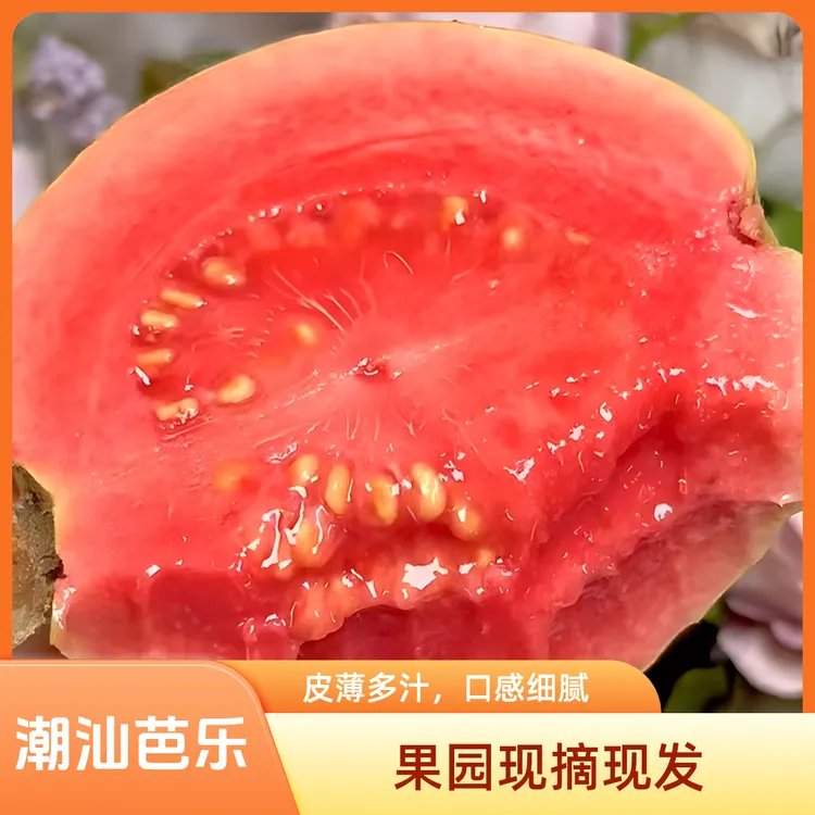 潮汕芭乐应季水果首选3/5斤装树熟低糖低脂芭乐软糯香甜老少皆宜