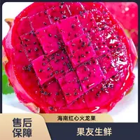 【海南红心火龙果40果】新鲜袋装5颗/1份 仅限太原晋中吕梁忻州购买