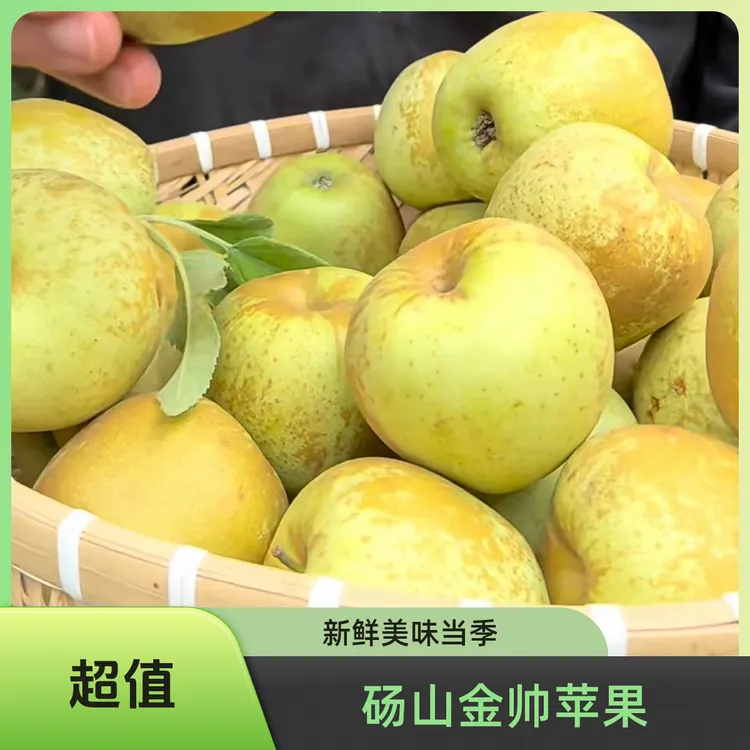 正宗砀山金帅苹果老品种新鲜水果酸甜应季苹果现摘现发