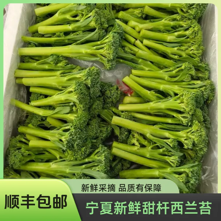 【顺丰包邮】宁夏新鲜甜杆西兰苔西兰花西蓝苔芦笋手指西兰苔菜苔
