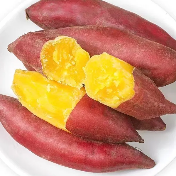 笋噔噔中果五斤装临安天目山小香薯新鲜红薯板栗番薯香甜生鲜食用