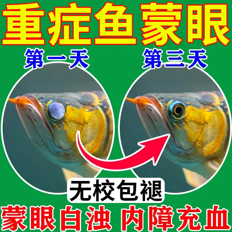龙鱼蒙眼专用龙鱼金鱼白眼肿胀眼凸眼睛发黄观赏鱼专用蒙眼清