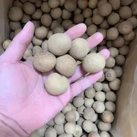 桂圆干500g农产品