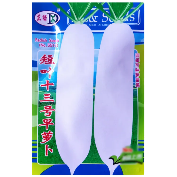 短叶十三早萝卜种子早熟高产抗热白萝卜种子秋季播种蔬菜种子