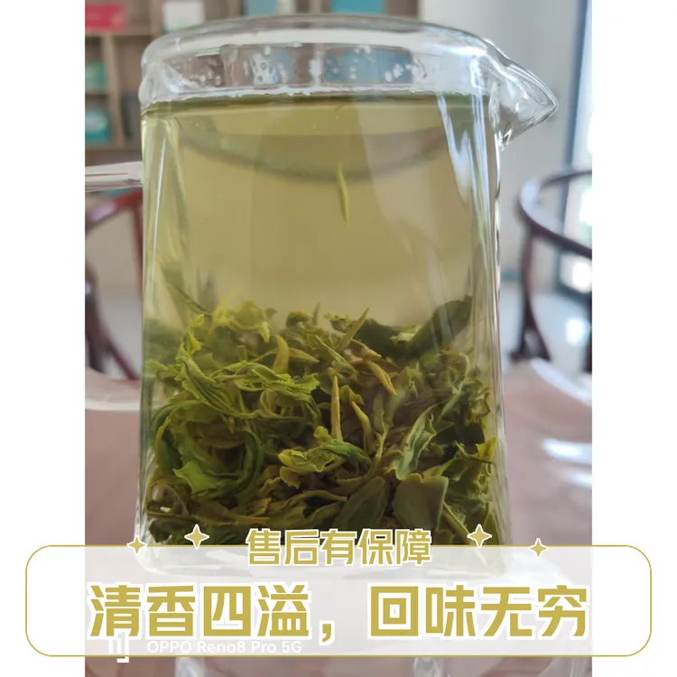 正宗日照绿茶 25年早秋板栗香，沙口足工厂批发