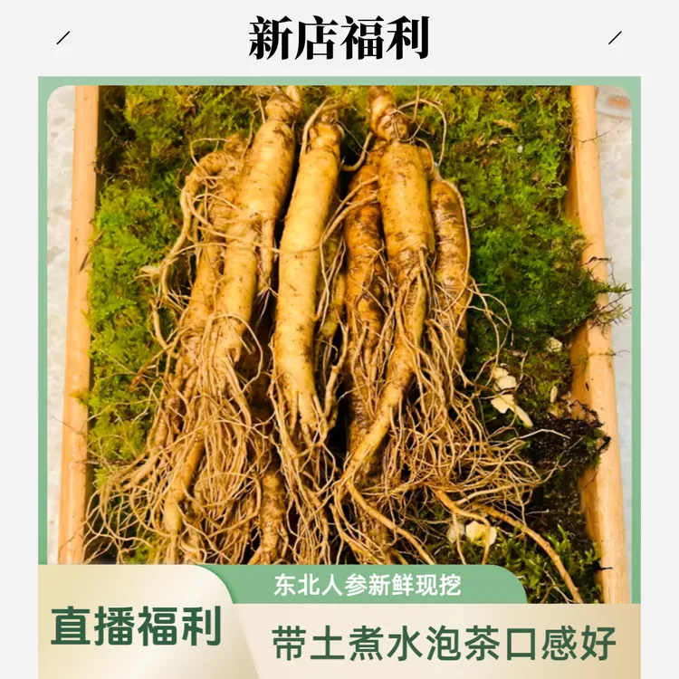 东北新鲜人参现挖带土煮水煮茶泡水家用常备