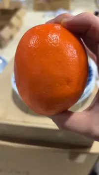 【闪购商品】瓷片1好好好好好好