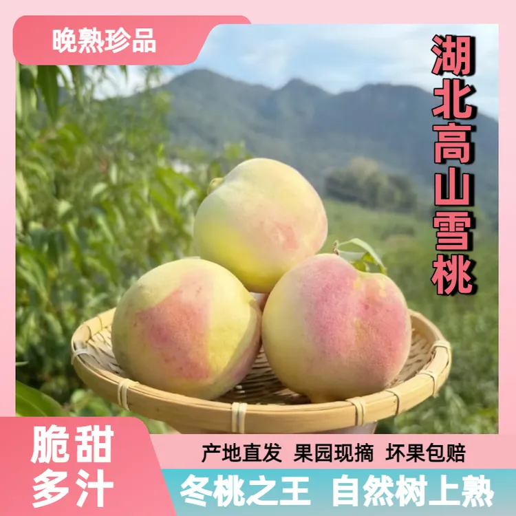 湖北高山雪桃冬桃金秋蜜桃新鲜桃子现摘水果脆甜多汁大果5斤包邮