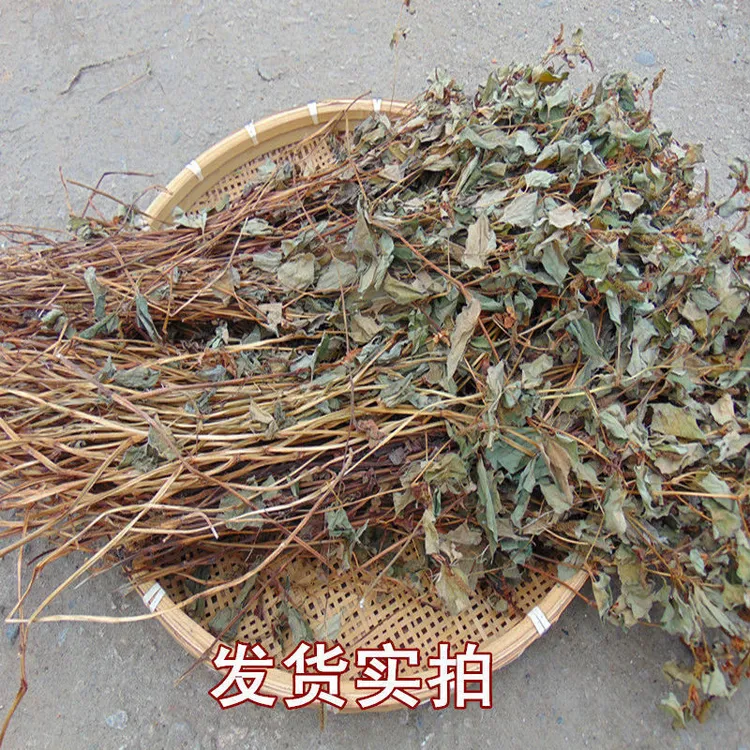 福州雪峰高山鱼腥草/猪鼻孔/侧耳根/整株自然晒干/当季新品