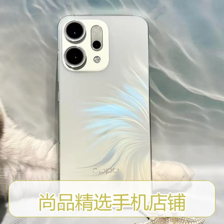 准新品 OPPO  Reno14 超美小直屏 长焦实况5G 二手商品图