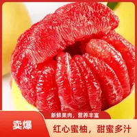 福建平和头茬老树红心蜜柚酸甜可口爆汁新鲜应季水果