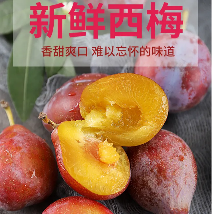 正宗新疆法兰西西梅新鲜应季水果酸甜可口