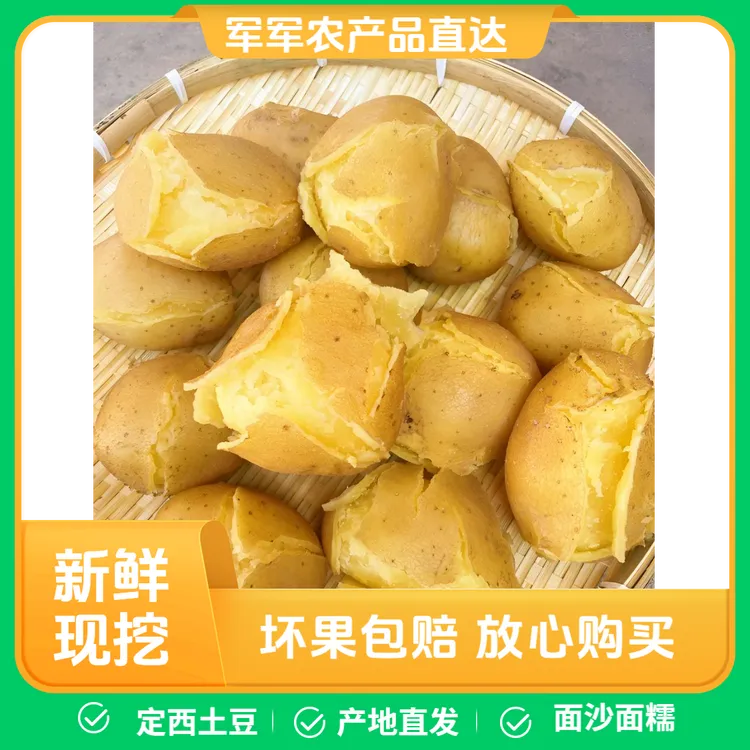 2025定西黄心土豆洋芋马铃薯 面沙面糯 产地直发【坏果包赔】