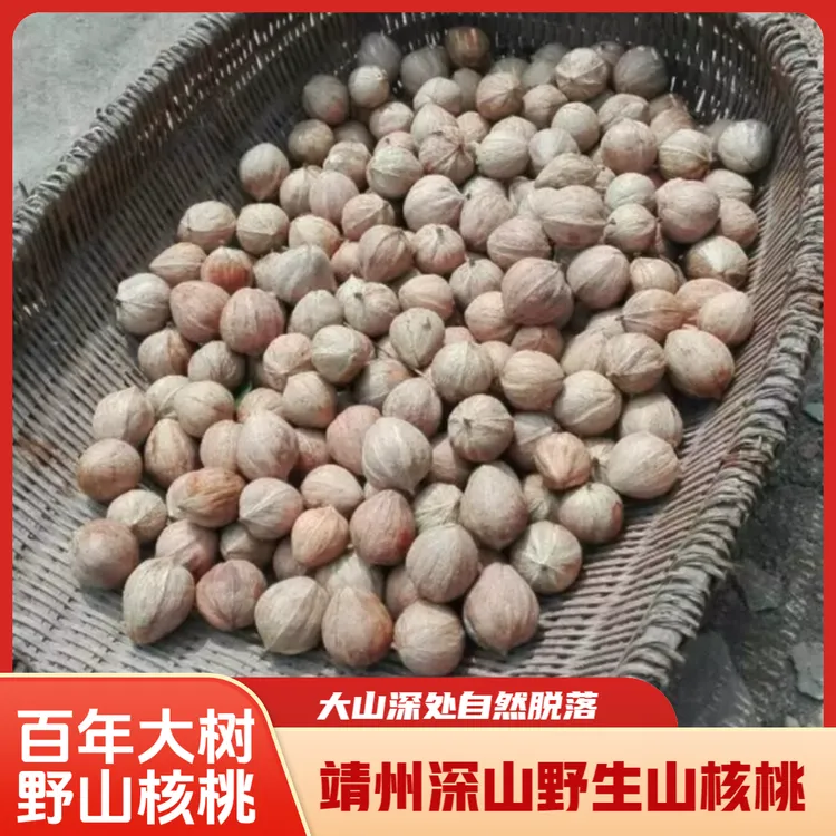 农家现炒现卖湖南靖州本地野生山核桃零食小核桃新鲜原味