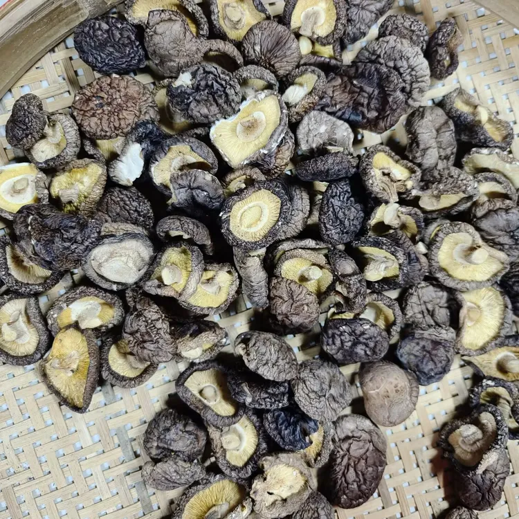 （香菇干货肉厚食用菌菇类