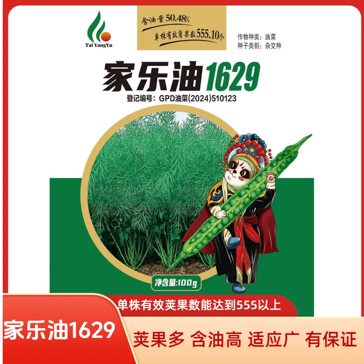 家乐油1629油菜种子高产四川甘蓝型杂交油菜籽