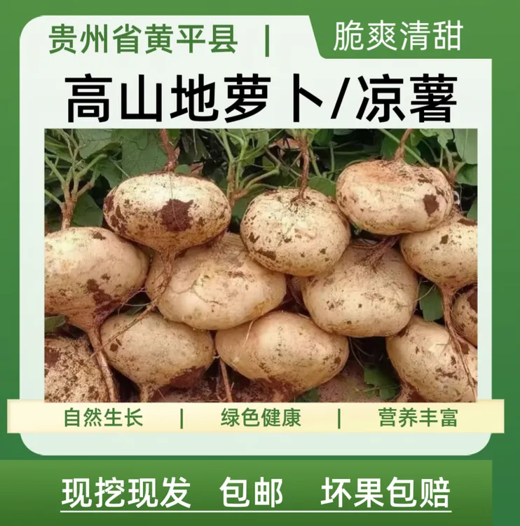 贵州新鲜地萝卜凉薯地瓜现挖现发农家自种脆甜多汁肉质细腻美味
